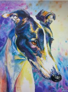 Painting of Daisy the Greyhound. Watercolour by Yvonne Chapman Brooks