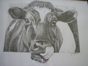 drawing of cow, pencil sketch