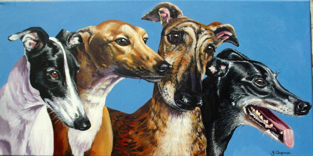 Four shades of greyhound by Yvonne Chapman Brooks